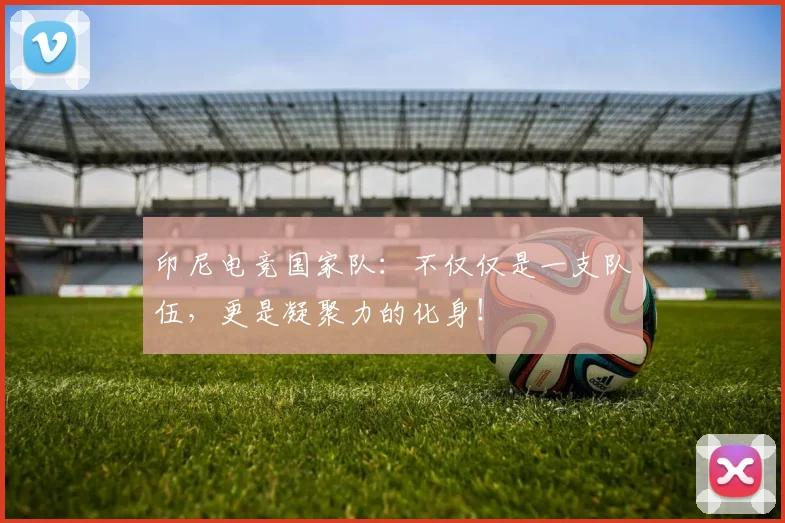 印尼电竞国家队：不仅仅是一支队伍，更是凝聚力的化身！