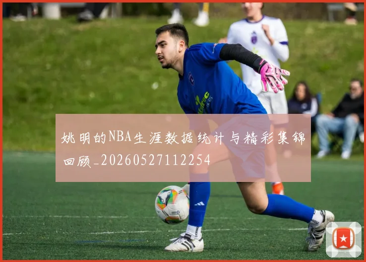 姚明的NBA生涯数据统计与精彩集锦回顾_20260527112254